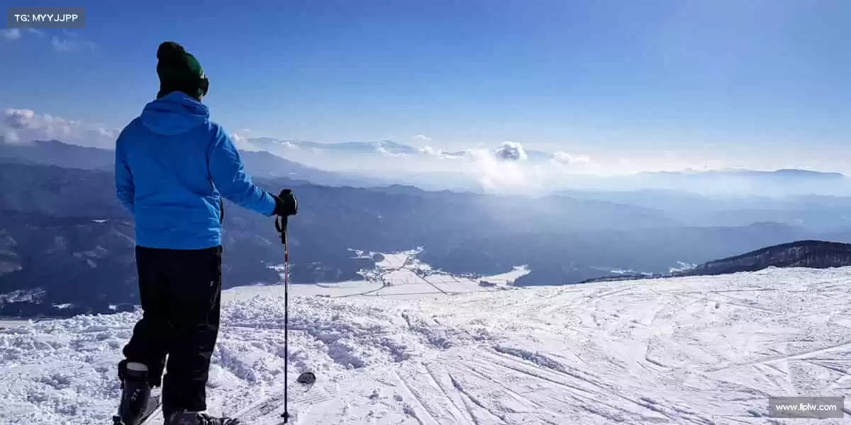 为什么选择我们